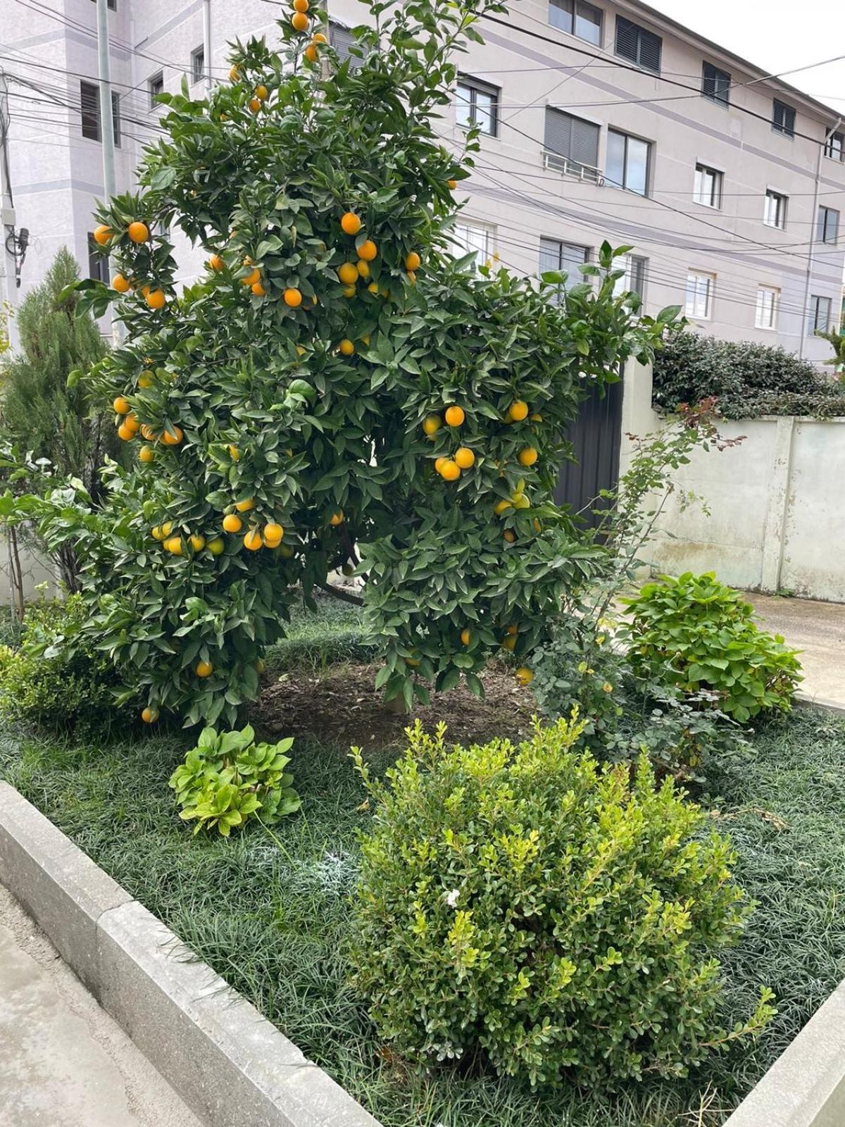 Kevi 'S Place Тирана Екстериор снимка